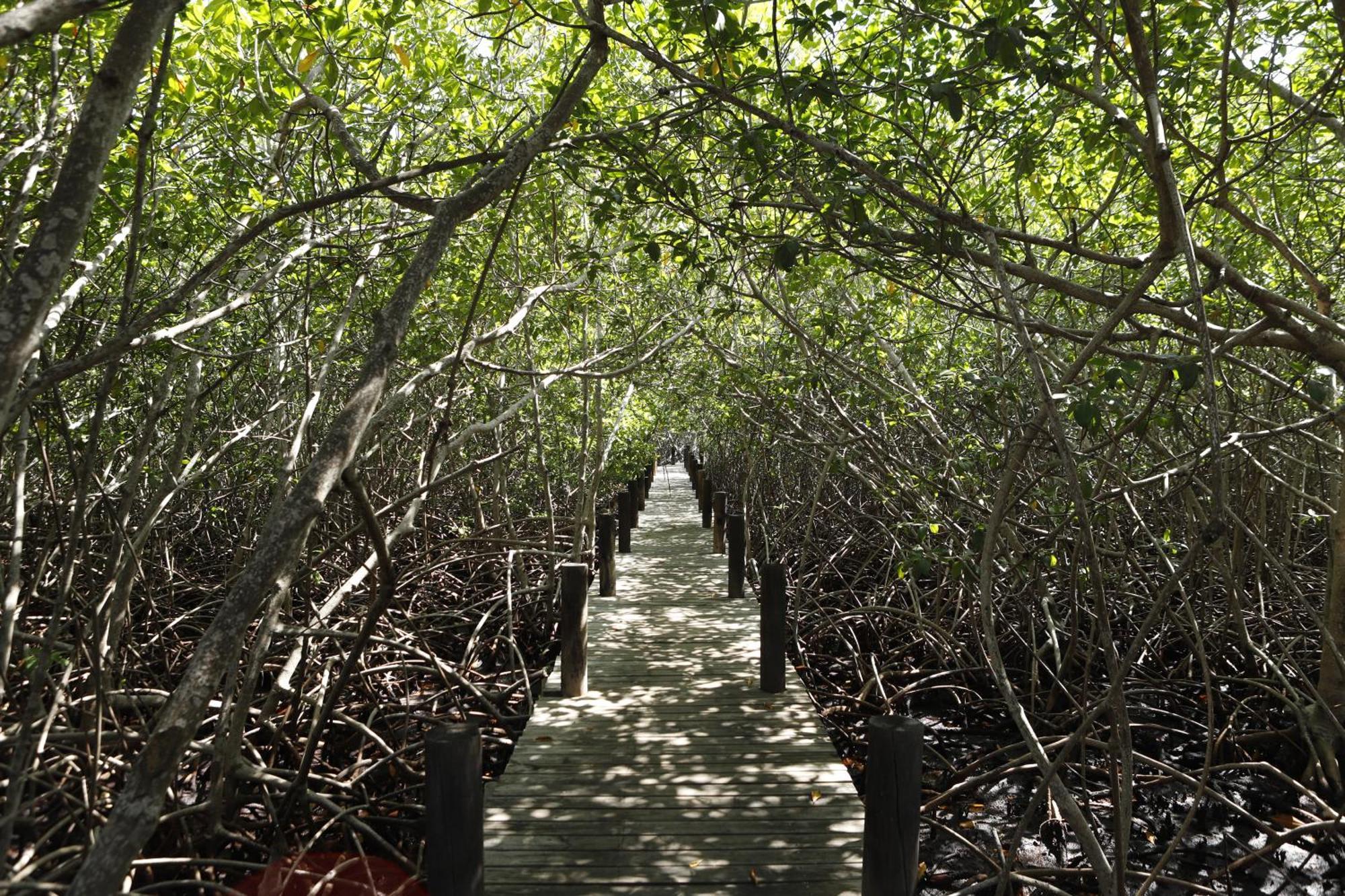 ホテル Sal Si Puedes Tintipan Island エクステリア 写真