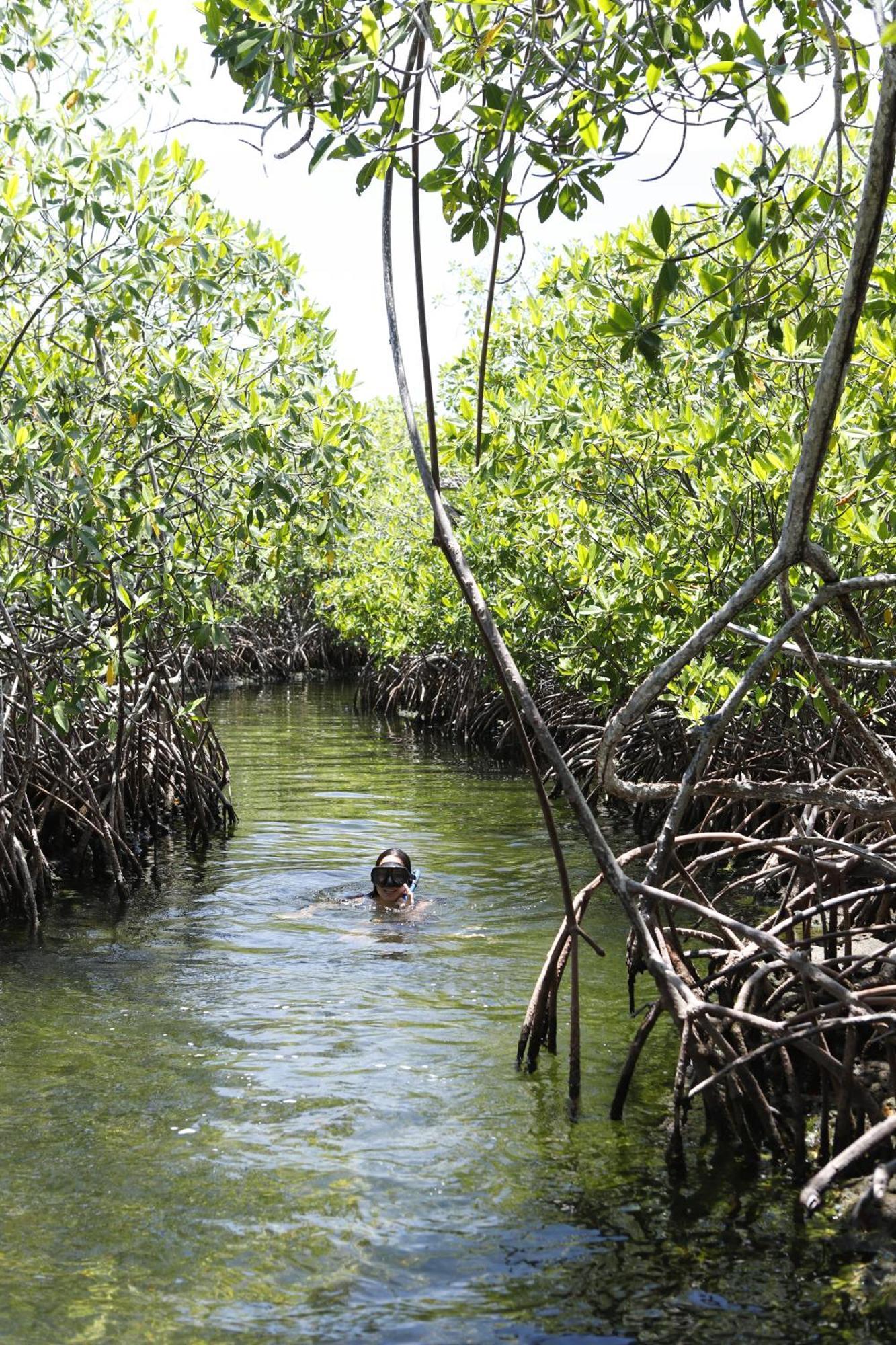 ホテル Sal Si Puedes Tintipan Island エクステリア 写真